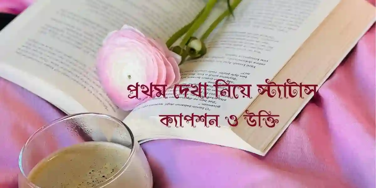 100+ প্রথম দেখা নিয়ে স্ট্যাটাস,ক্যাপশন ও উক্তি