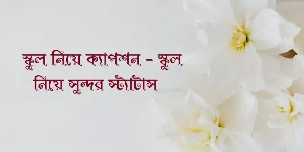 120+ স্কুল নিয়ে ক্যাপশন – স্কুল নিয়ে সুন্দর স্ট্যাটাস 