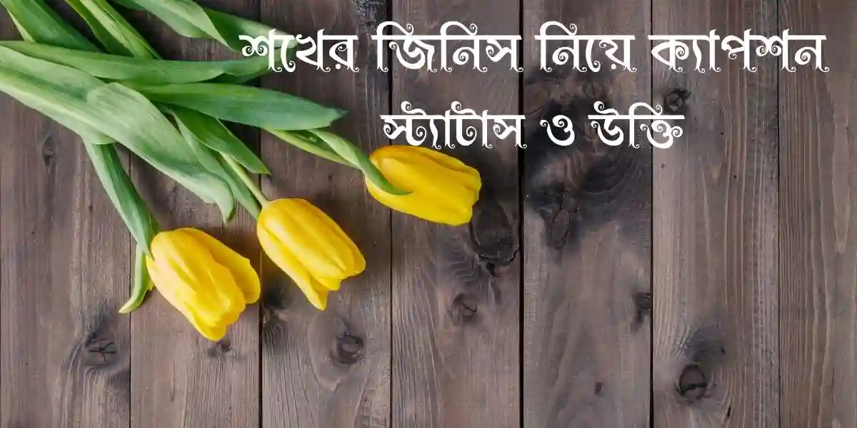 40+ শখের জিনিস নিয়ে ক্যাপশন, স্ট্যাটাস ও উক্তি