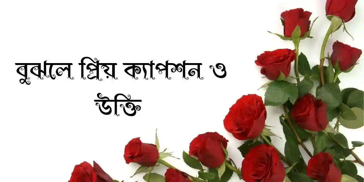 45+ বুঝলে প্রিয় ক্যাপশন ও উক্তি
