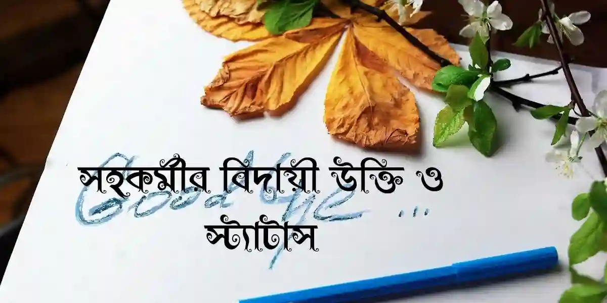 50+ সহকর্মীর বিদায়ী উক্তি ও স্ট্যাটাস