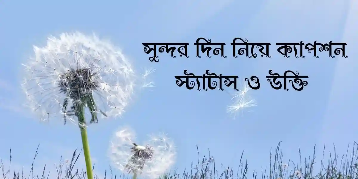 60+ সুন্দর দিন নিয়ে ক্যাপশন,স্ট্যাটাস ও উক্তি