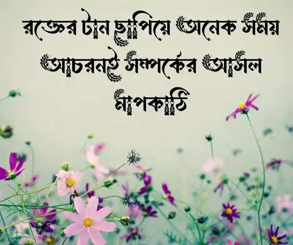 আত্নীয় স্বজন নিয়ে উক্তি