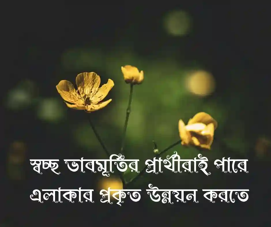 উপজেলা নির্বাচন নিয়ে স্ট্যাটাস