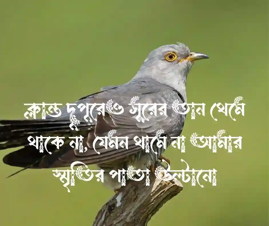 কোকিল নিয়ে ক্যাপশন