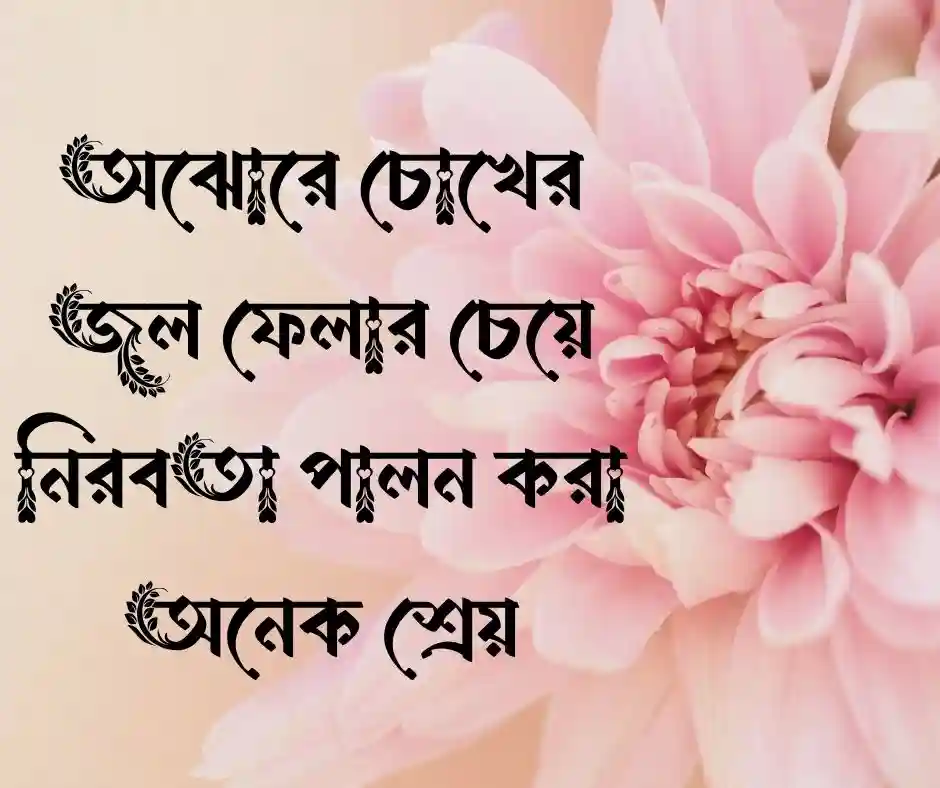 খারাপ শাশুড়ি নিয়ে ক্যাপশন