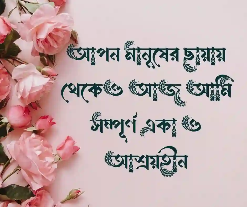 খারাপ শাশুড়ি নিয়ে স্ট্যাটাস