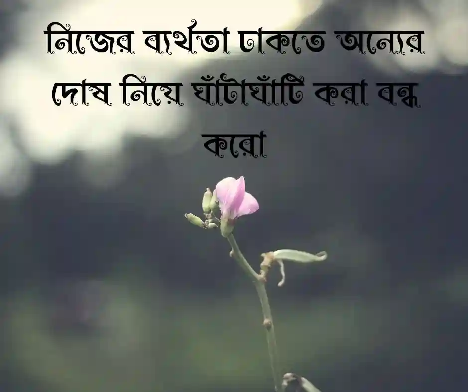 খোচা মারা নিয়ে স্ট্যাটাস বাংলা