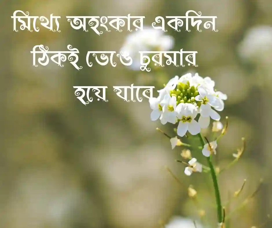 খোচা মারা নিয়ে স্ট্যাটাস