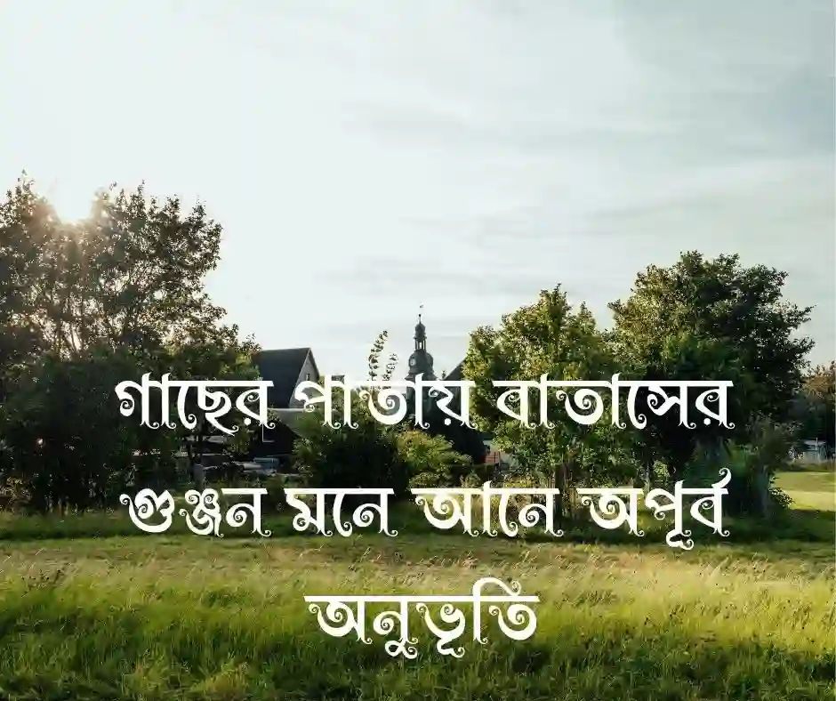 গ্রামের প্রকৃতি নিয়ে কিছু কথা