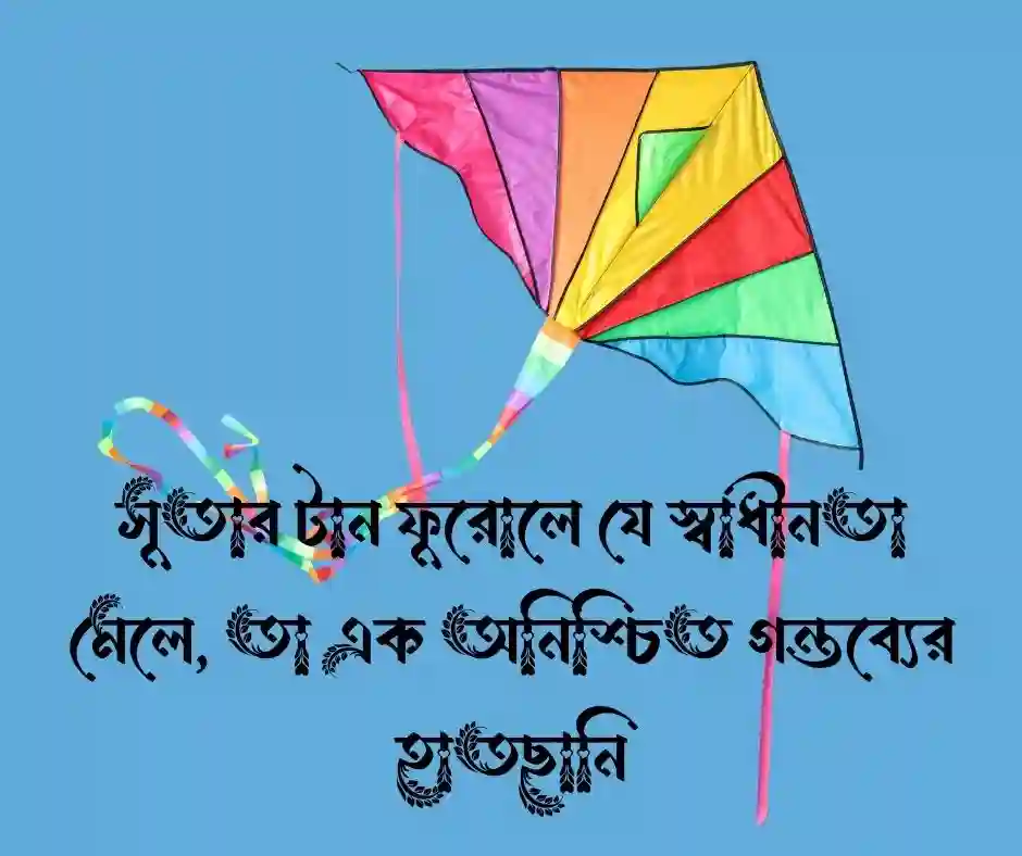ঘুড়ি নিয়ে উক্তি