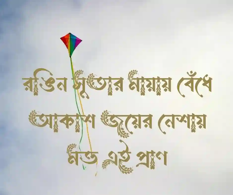 ঘুড়ি নিয়ে স্ট্যাটাস