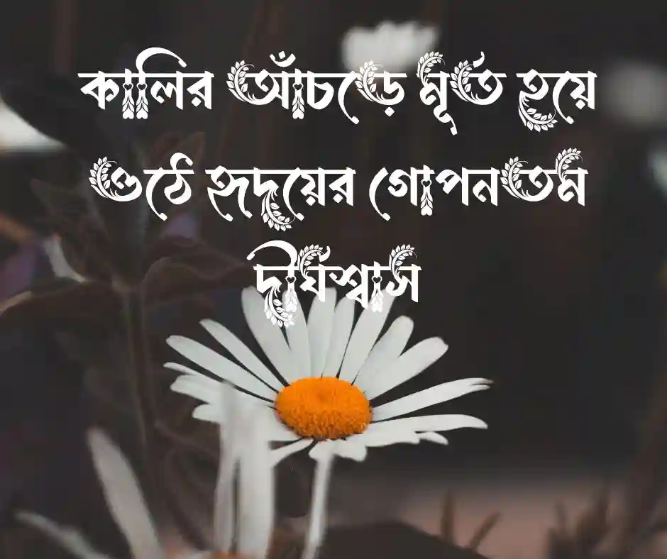 চিঠি নিয়ে স্ট্যাটাস