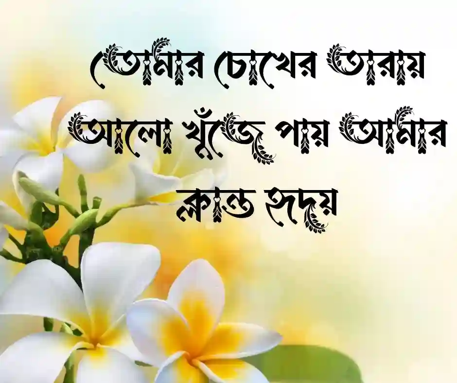 চোখ নিয়ে ক্যাপশন রোমান্টিক