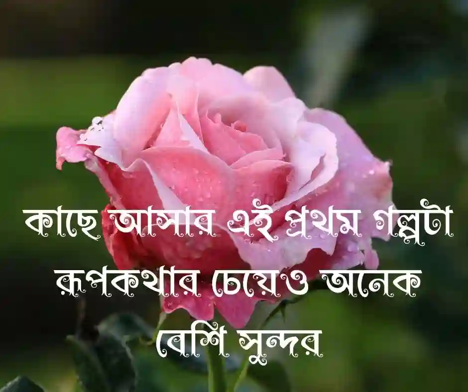 নতুন প্রেম নিয়ে ক্যাপশন