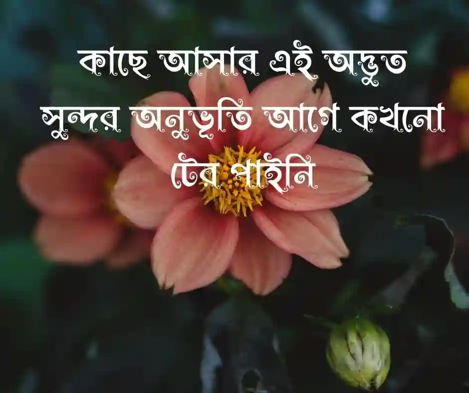 নতুন প্রেম নিয়ে স্ট্যাটাস
