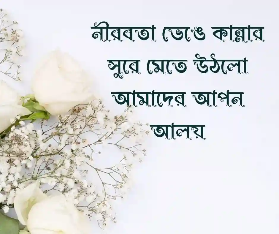 নতুন শিশুর আগমন নিয়ে স্ট্যাটাস