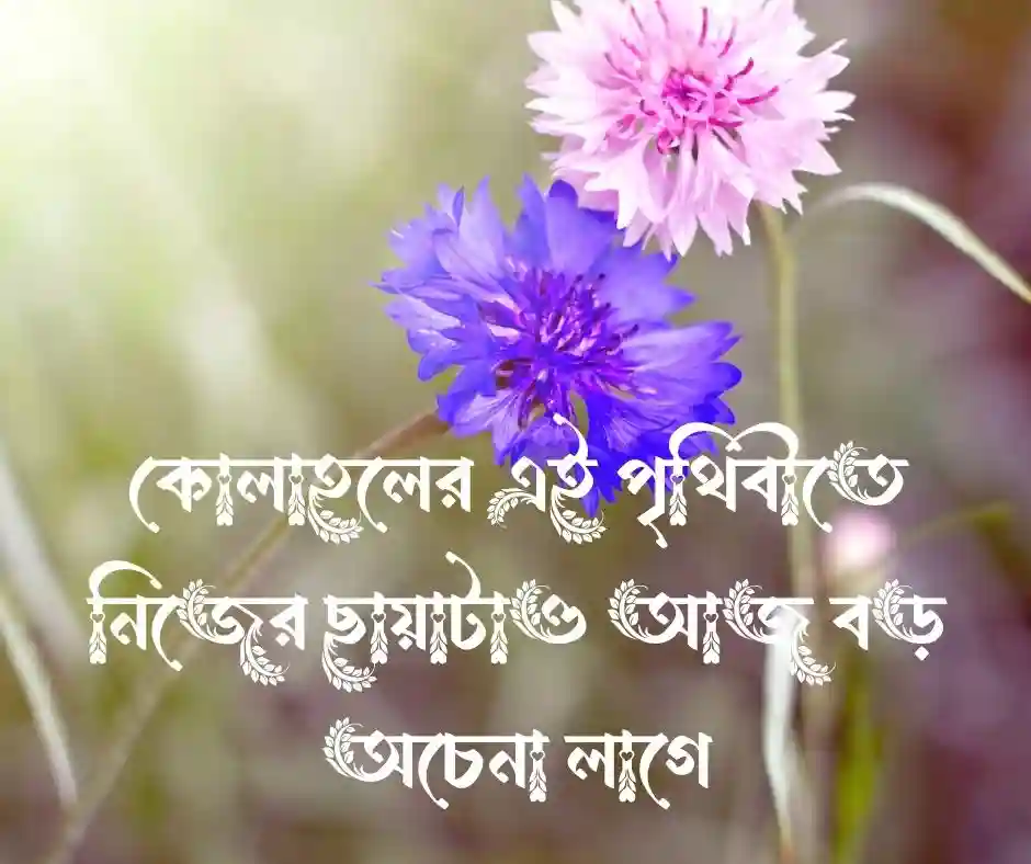 নিখোঁজ নিয়ে উক্তি - নিজেকে নিয়ে উক্তি
