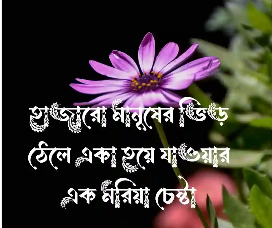 নিখোঁজ নিয়ে স্ট্যাটাস