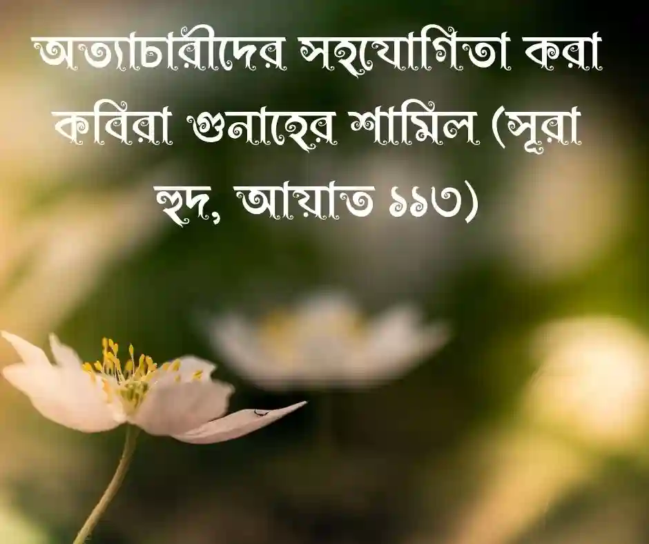 নির্বাচন নিয়ে ইসলামিক উক্তি