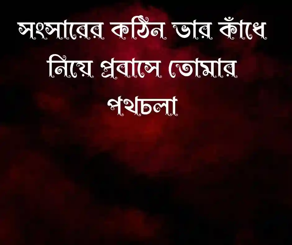 প্রবাসী বড় ভাই বিদেশ যাওয়ার স্ট্যাটাস