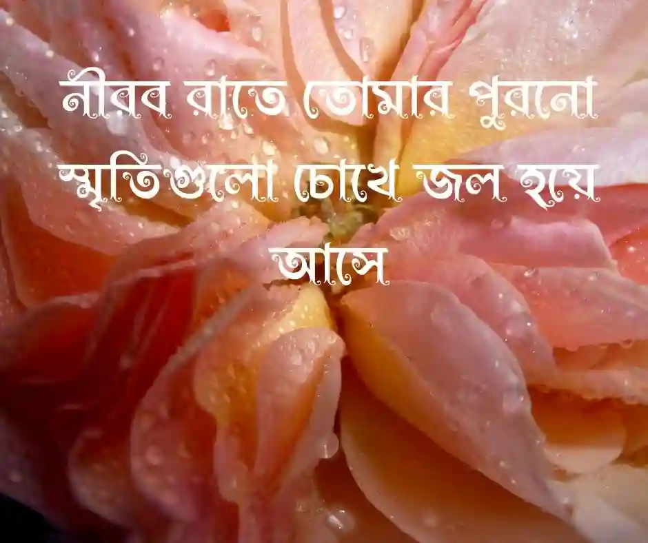 প্রিয় মানুষকে মিস করা নিয়ে ক্যাপশন