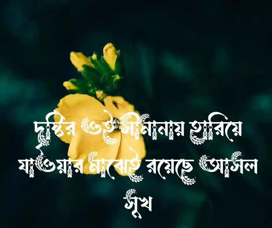 প্রিয় মানুষের চোখ নিয়ে ক্যাপশন