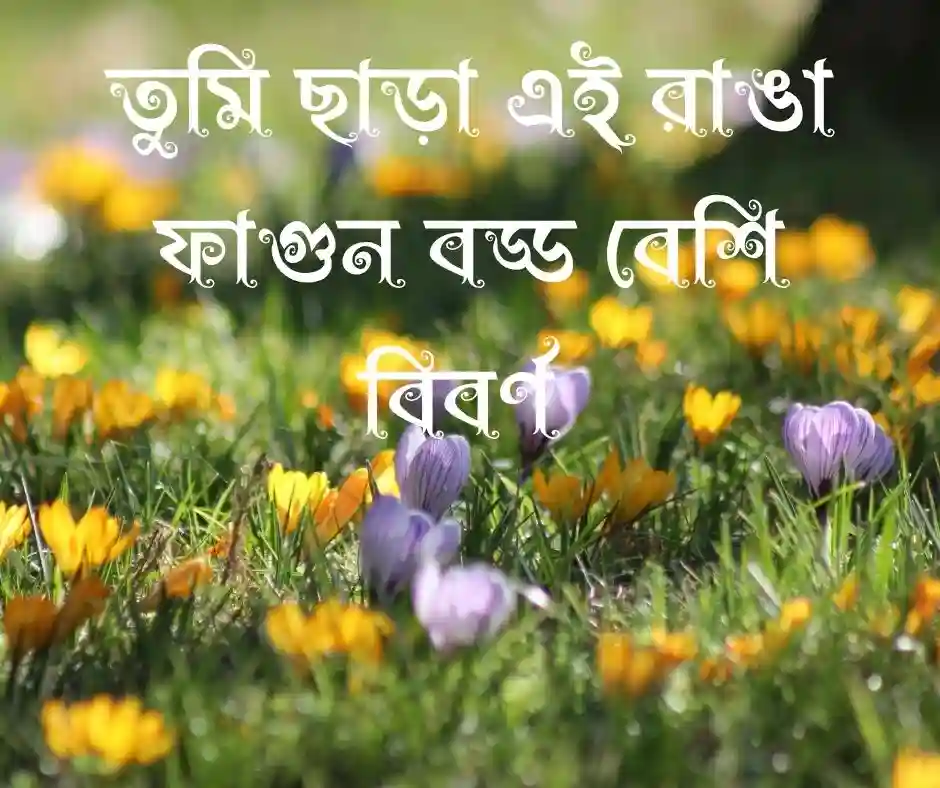 বসন্ত নিয়ে কষ্টের ক্যাপশন
