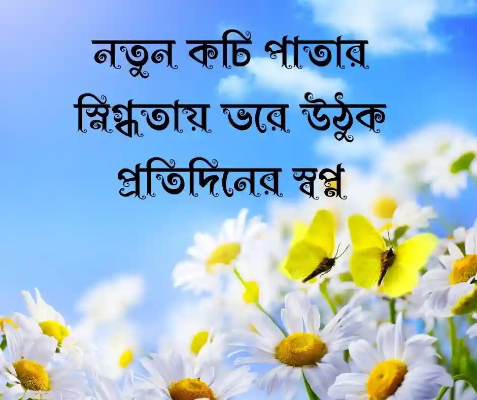 বসন্ত নিয়ে স্ট্যাটাস