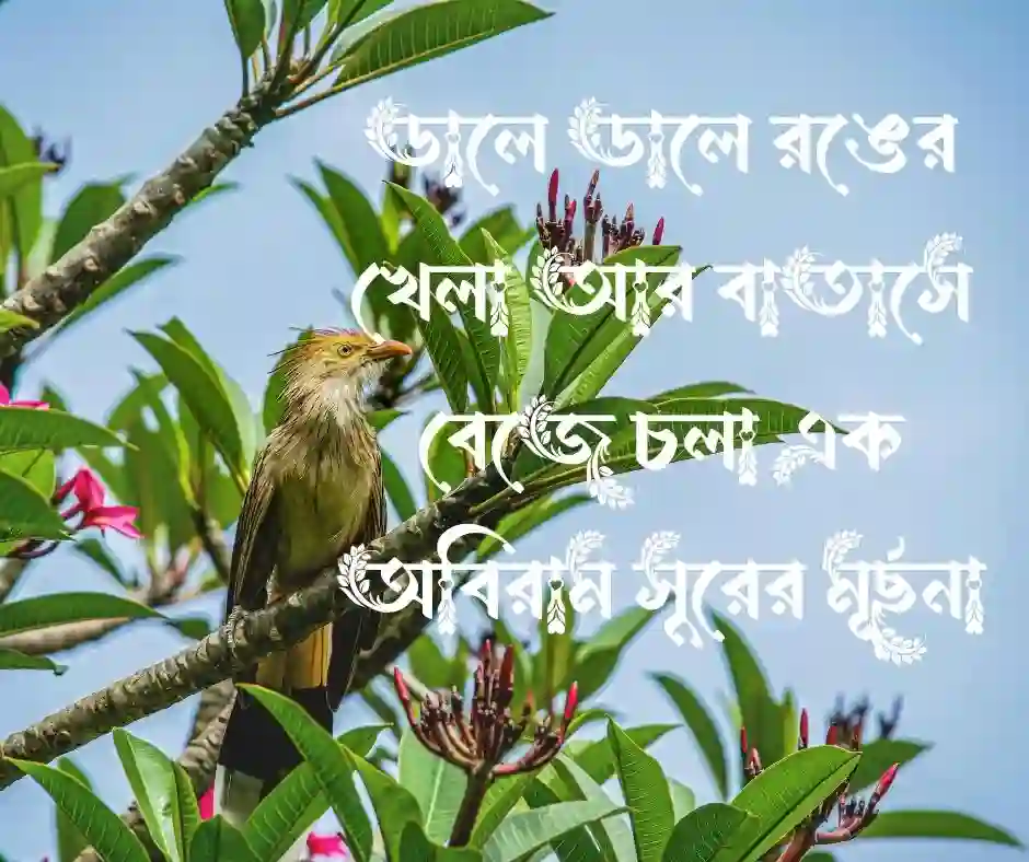 বসন্তের কোকিল নিয়ে ক্যাপশন