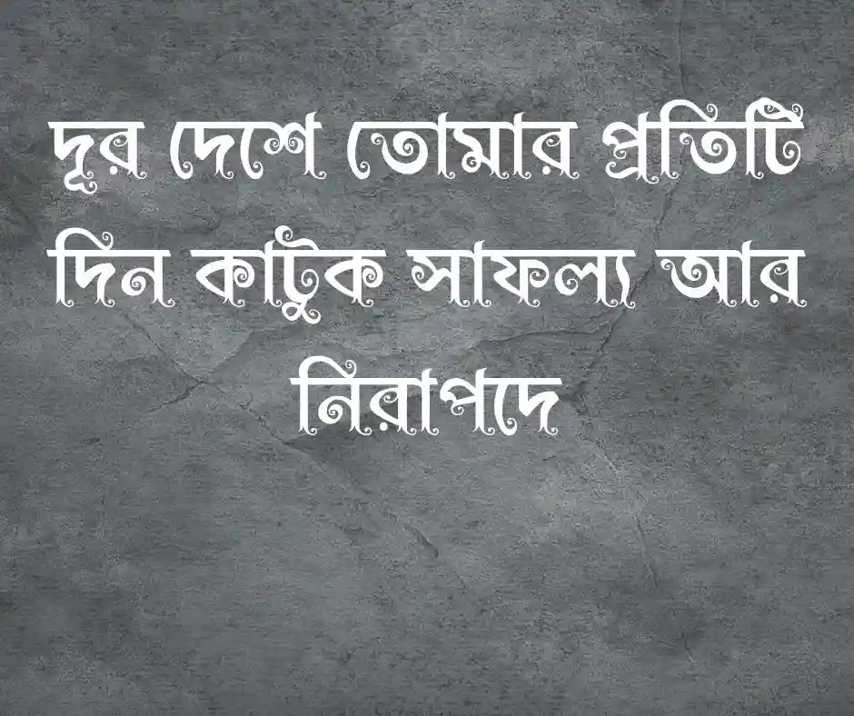 বিদায় নিয়ে স্ট্যাটাস