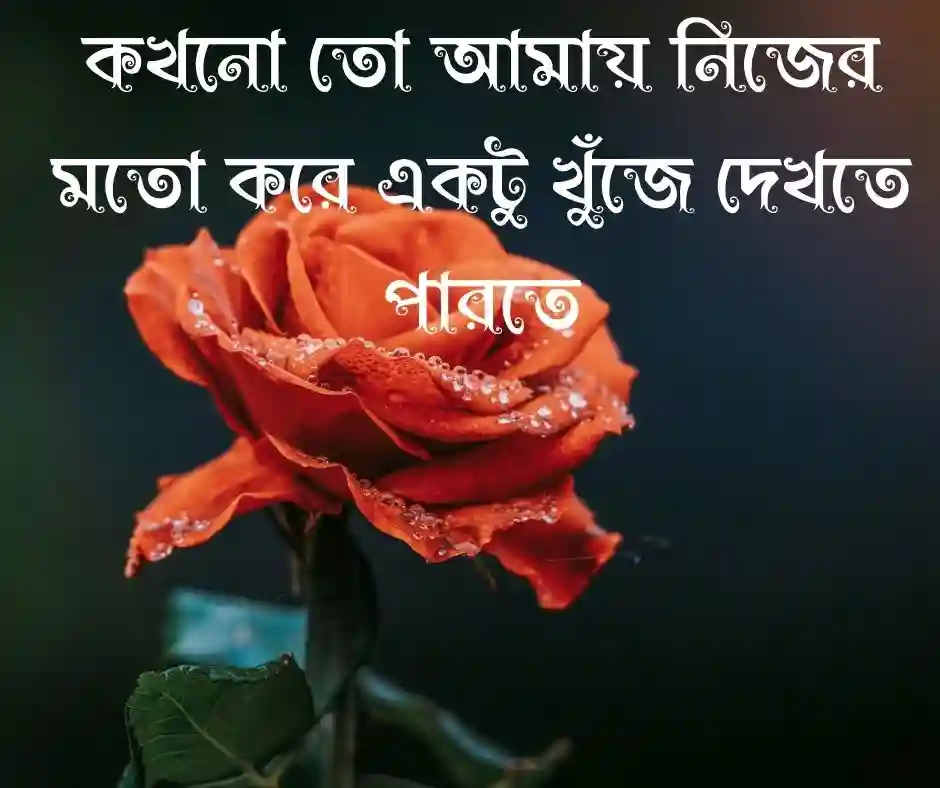 বুঝলে প্রিয় caption bengali