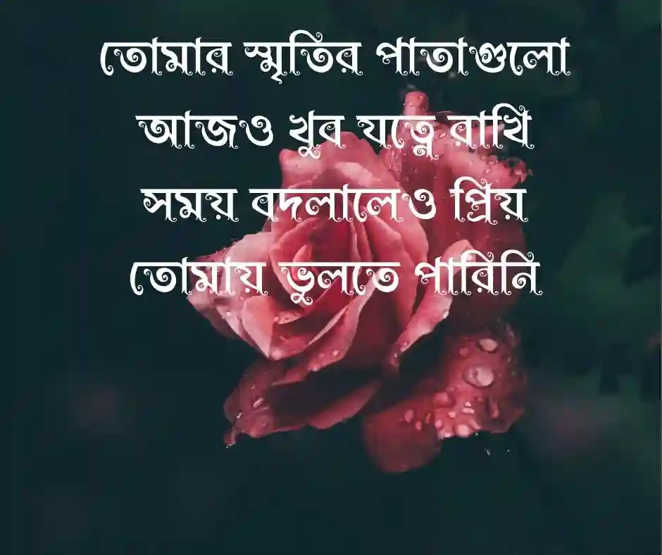 বুঝলে প্রিয় কবিতা