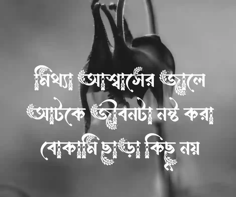 বেইমান মানুষ নিয়ে কিছু কথা