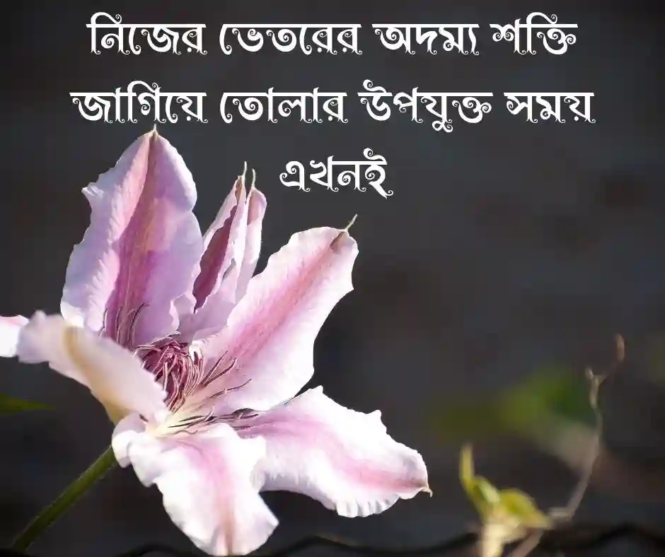 মনের যত্ন নিয়ে ক্যাপশন