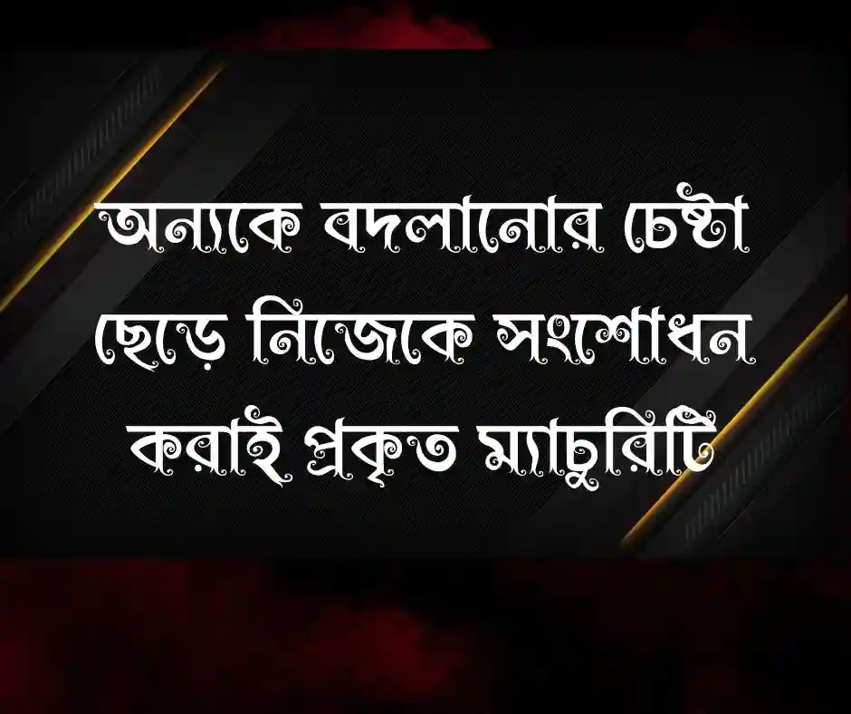 ম্যাচুরিটি নিয়ে কিছু কথাb
