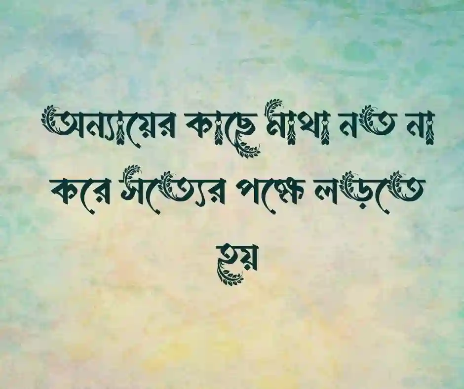 রাজনৈতিক ব্যক্তিত্ব নিয়ে উক্তি