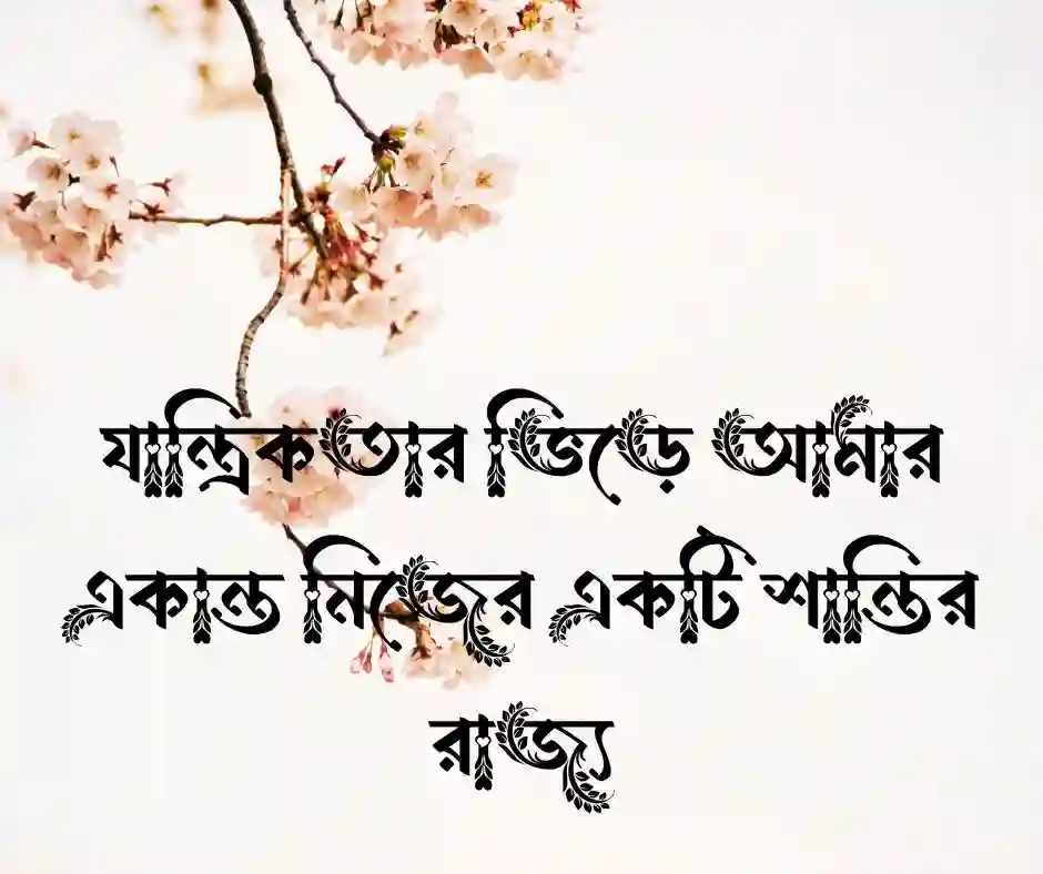 শখের জিনিস নিয়ে ক্যাপশন