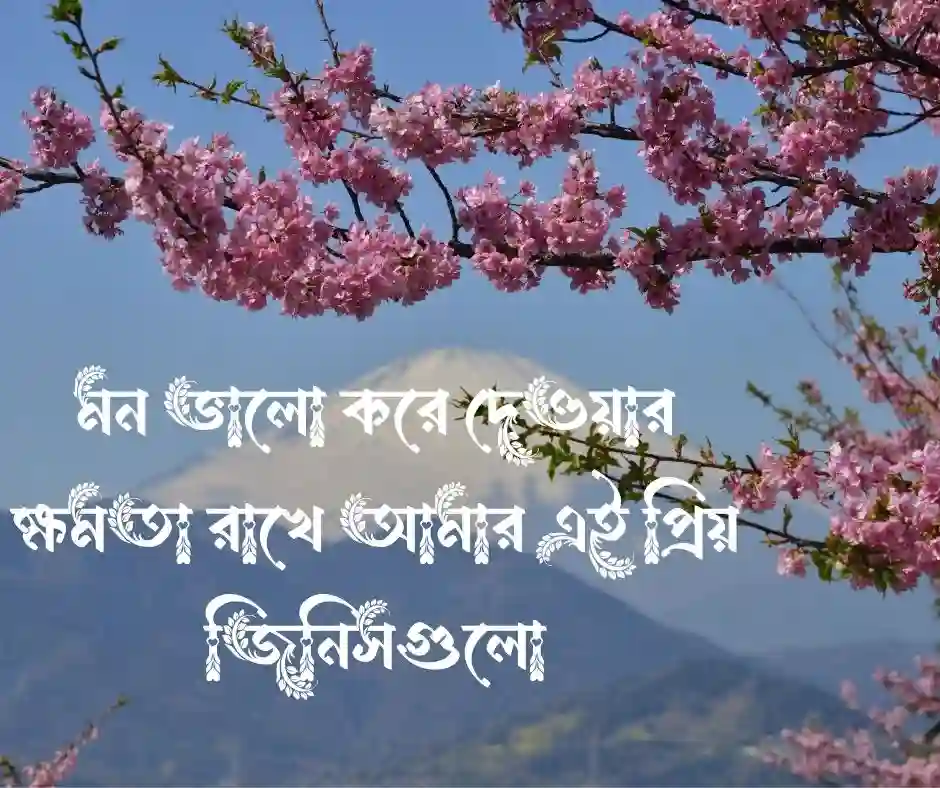 শখের জিনিস নিয়ে স্ট্যাটাস