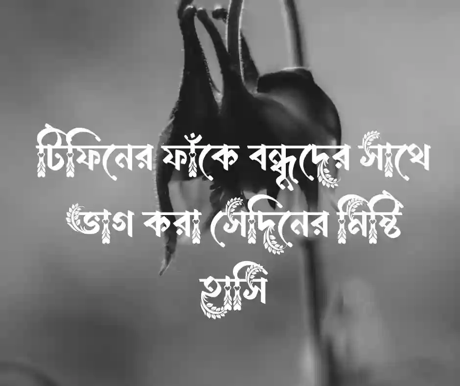 শিক্ষা প্রতিষ্ঠান নিয়ে ক্যাপশন - বিদ্যালয় নিয়ে ক্যাপশন