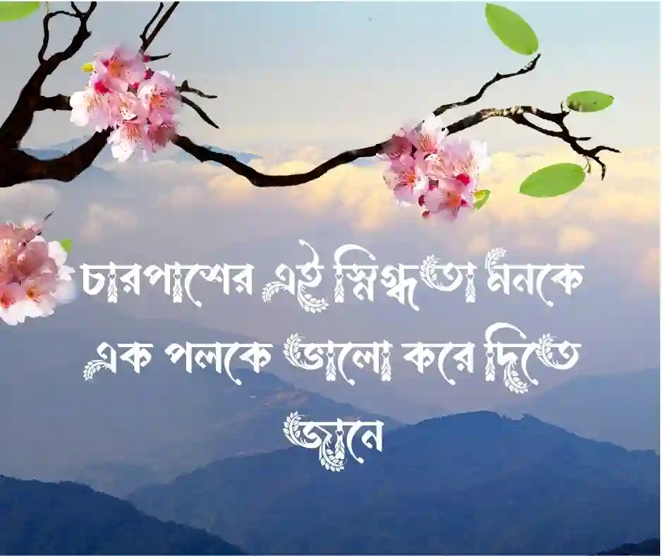 সুন্দর দিন নিয়ে ক্যাপশন
